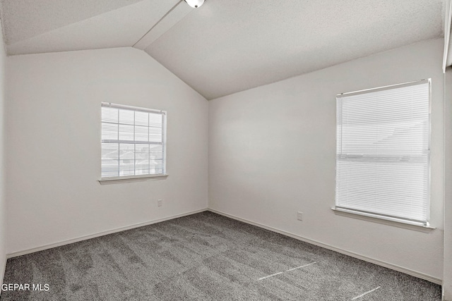 spare room featuring lofted ceiling and carpet floors