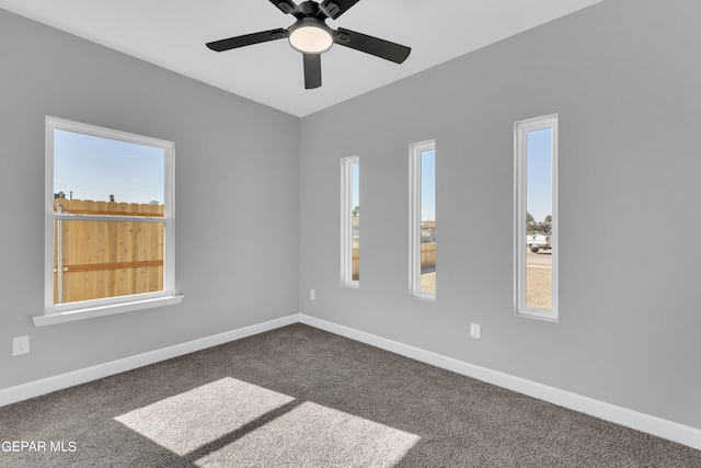 spare room featuring plenty of natural light and carpet flooring