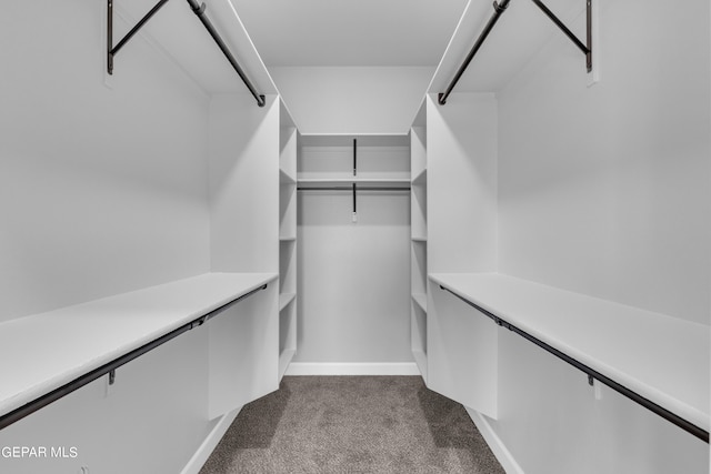 walk in closet featuring carpet flooring