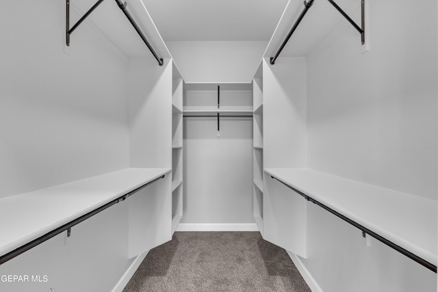 528 Telop Rd, Socorro, TX 79927 - walk in closet featuring dark carpet