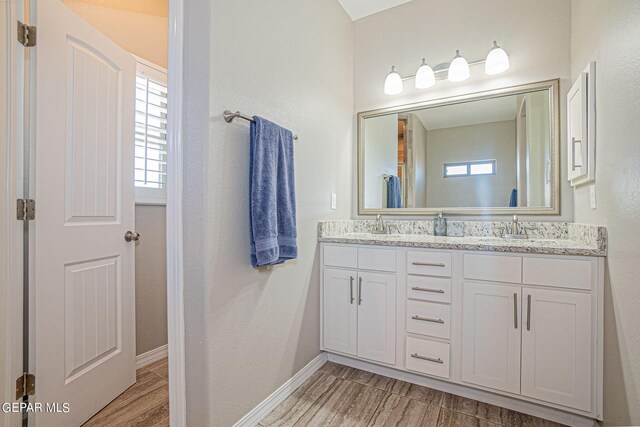 bathroom with wood-type flooring and vanity