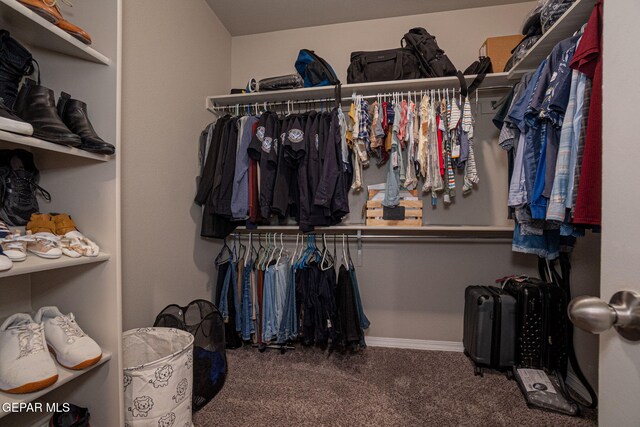 spacious closet featuring carpet floors