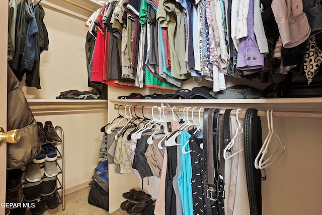 spacious closet with light colored carpet