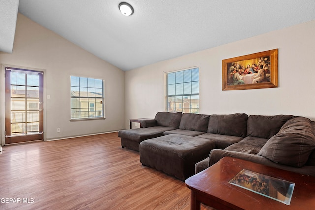 living room with high vaulted ceiling and light hardwood / wood-style floors