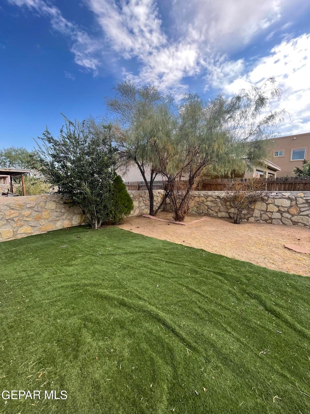 view of yard with a patio