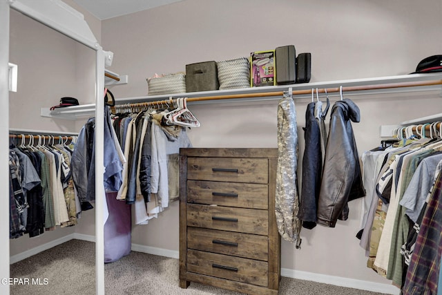 walk in closet with carpet floors