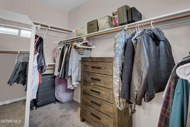 spacious closet featuring carpet flooring