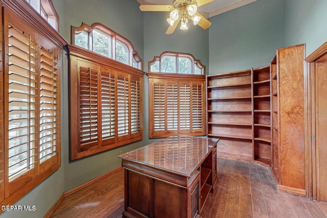 office featuring crown molding, ceiling fan, and dark hardwood / wood-style flooring