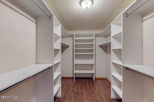 spacious closet featuring dark wood-type flooring