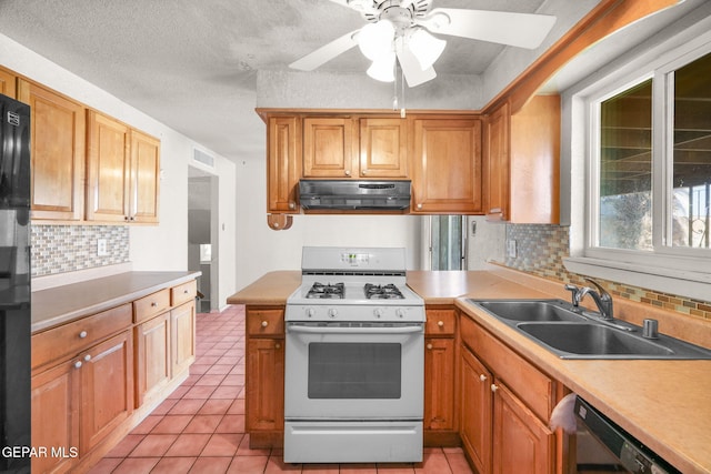 kitchen featuring white range with gas stovetop, sink, exhaust hood, and tasteful backsplash