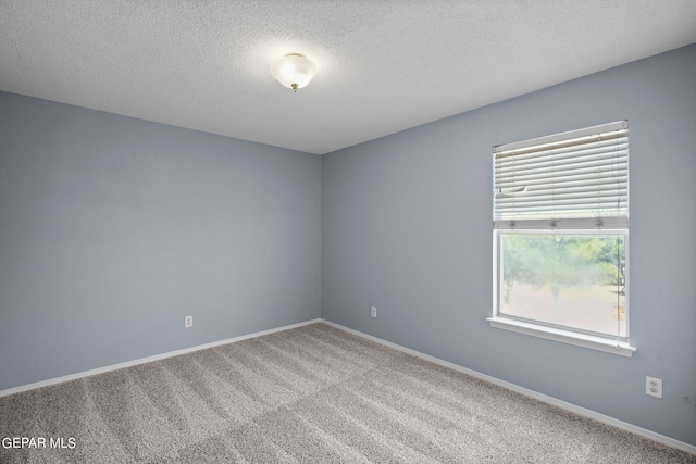 empty room featuring carpet floors and a textured ceiling