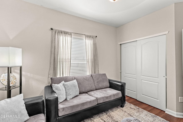 living room featuring dark wood-type flooring