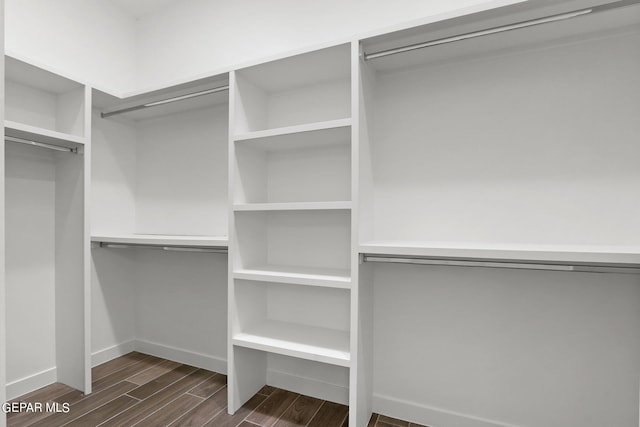 spacious closet featuring dark hardwood / wood-style flooring