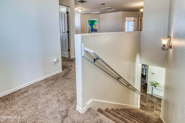 stairs featuring carpet flooring