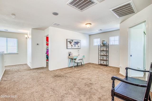 sitting room with carpet flooring