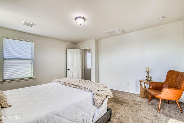 bedroom with carpet