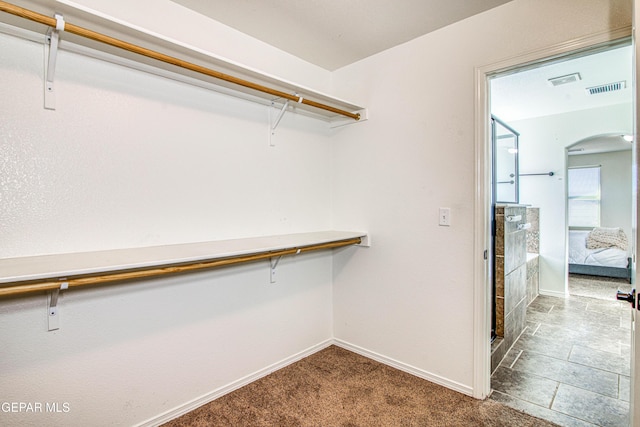 spacious closet with carpet floors