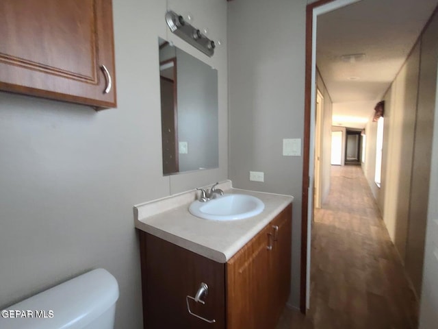 bathroom featuring toilet, vanity, and wood-type flooring