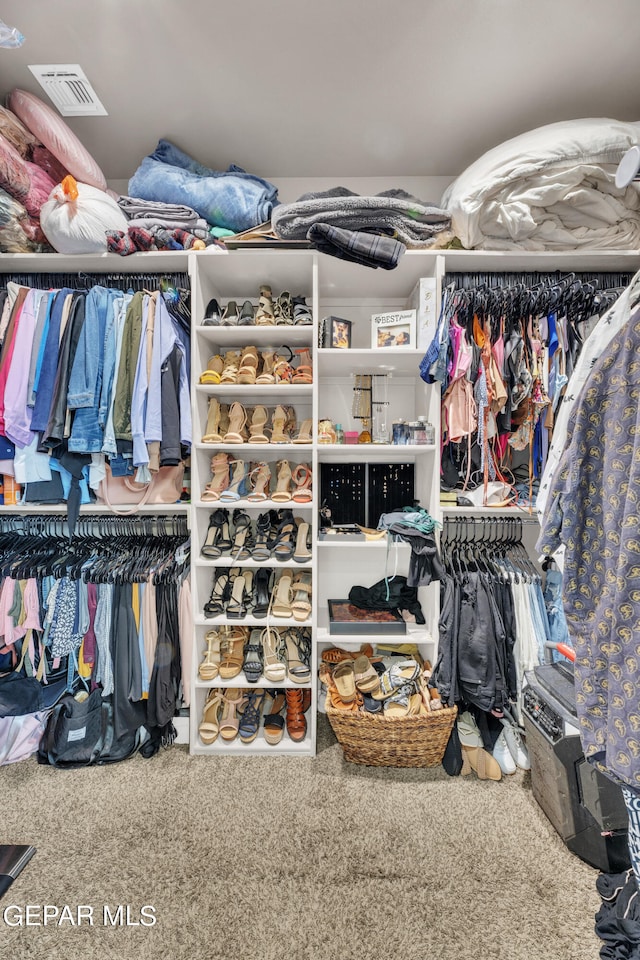 spacious closet with carpet flooring