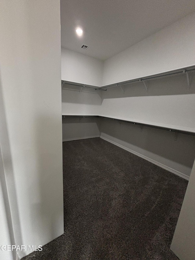 spacious closet with visible vents and carpet floors