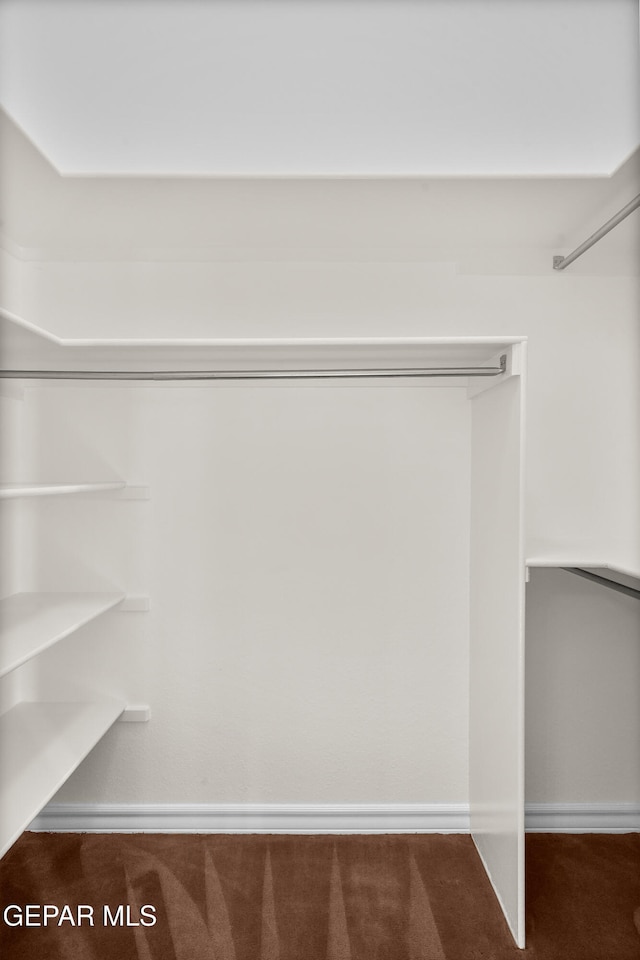 spacious closet with carpet floors