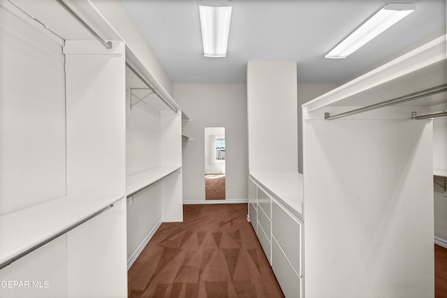 walk in closet with dark carpet