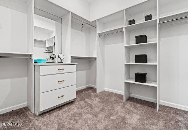 walk in closet with carpet floors