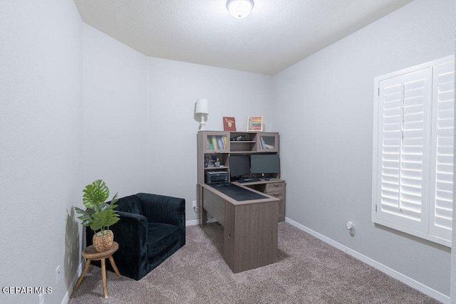 home office with light colored carpet