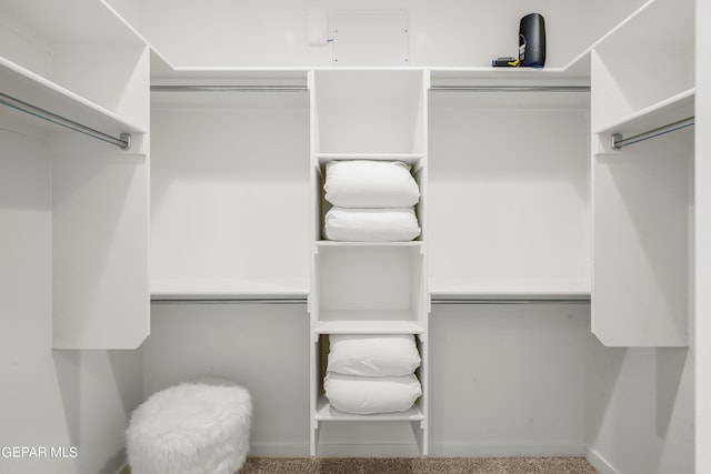 view of walk in closet