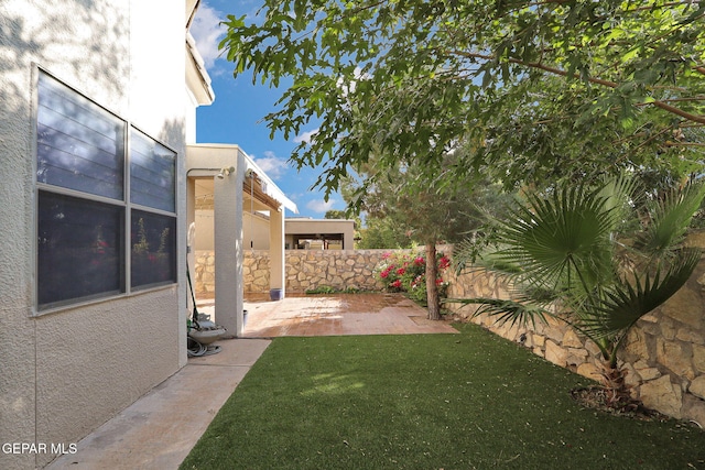 view of yard featuring a patio area