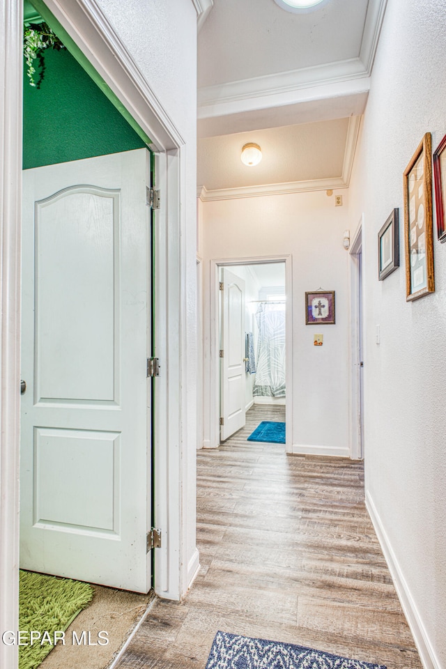 hall featuring ornamental molding and light wood-type flooring