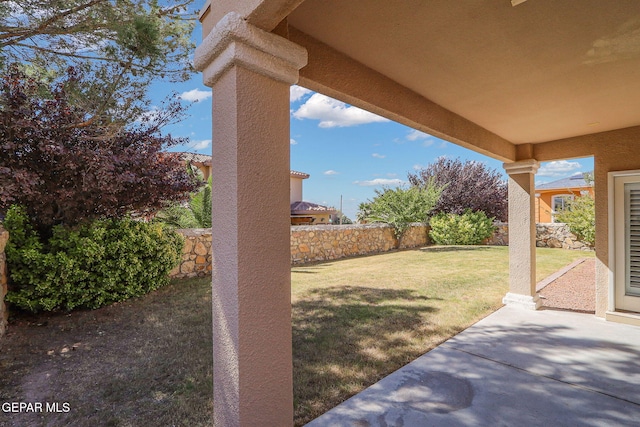 view of yard featuring a patio area