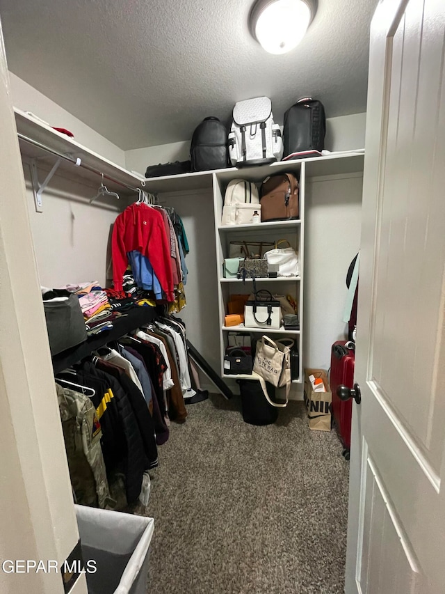 spacious closet featuring dark colored carpet