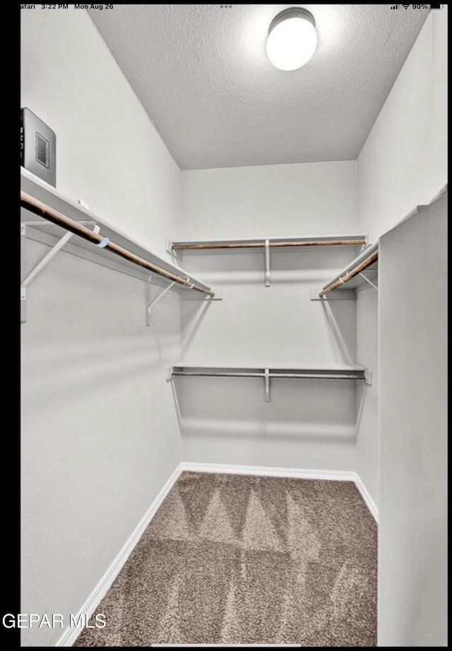 walk in closet featuring carpet