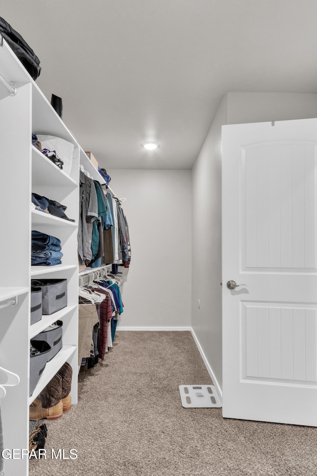 walk in closet featuring carpet