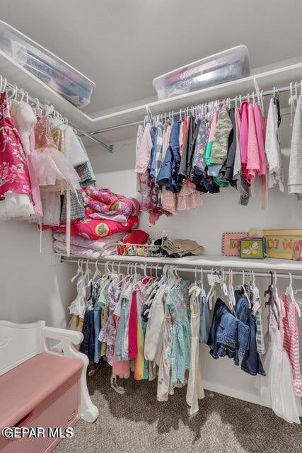 walk in closet featuring carpet floors