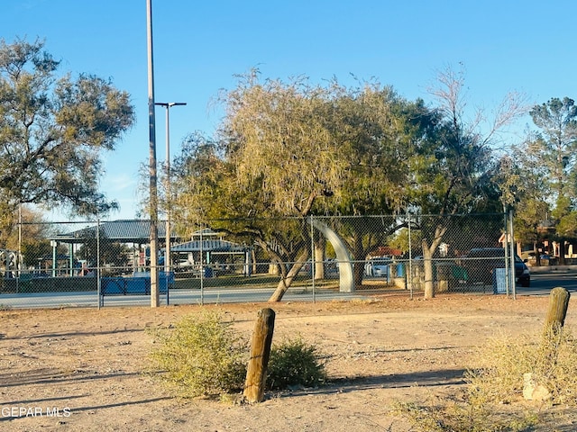 view of jungle gym