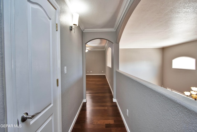 hall featuring crown molding and dark hardwood / wood-style flooring