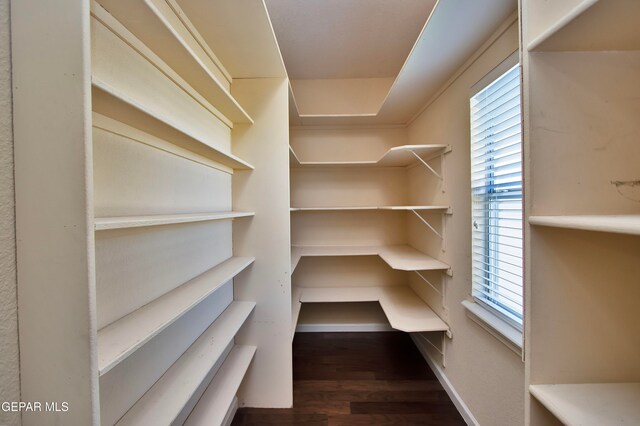 walk in closet featuring dark wood-type flooring