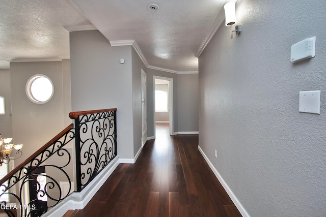 hallway with dark wood-type flooring, crown molding, and a chandelier