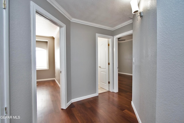 hall with ornamental molding and dark hardwood / wood-style flooring