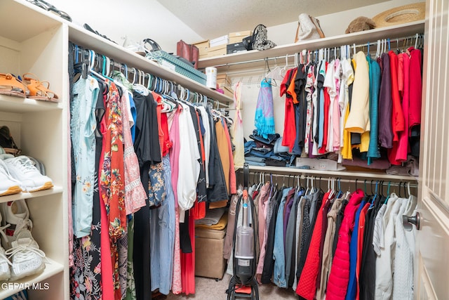 spacious closet featuring carpet