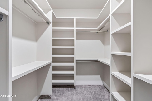 spacious closet featuring carpet floors