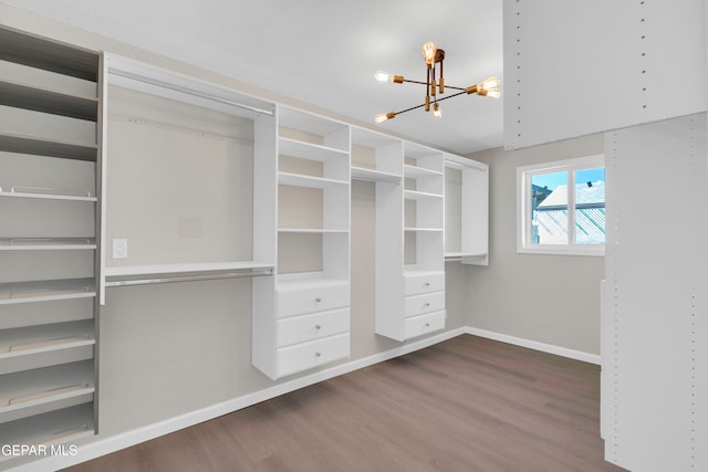 spacious closet featuring built in desk, a notable chandelier, and wood-type flooring