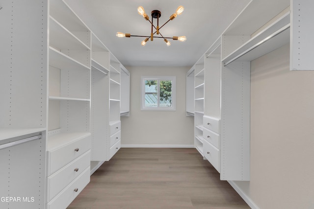 walk in closet with a chandelier and light wood-type flooring