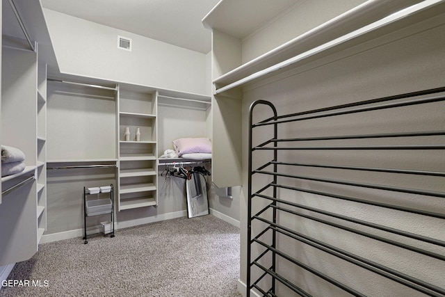 spacious closet with carpet flooring