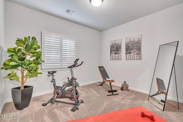 exercise room featuring carpet floors