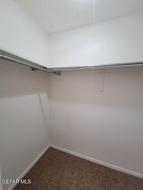 spacious closet featuring carpet floors