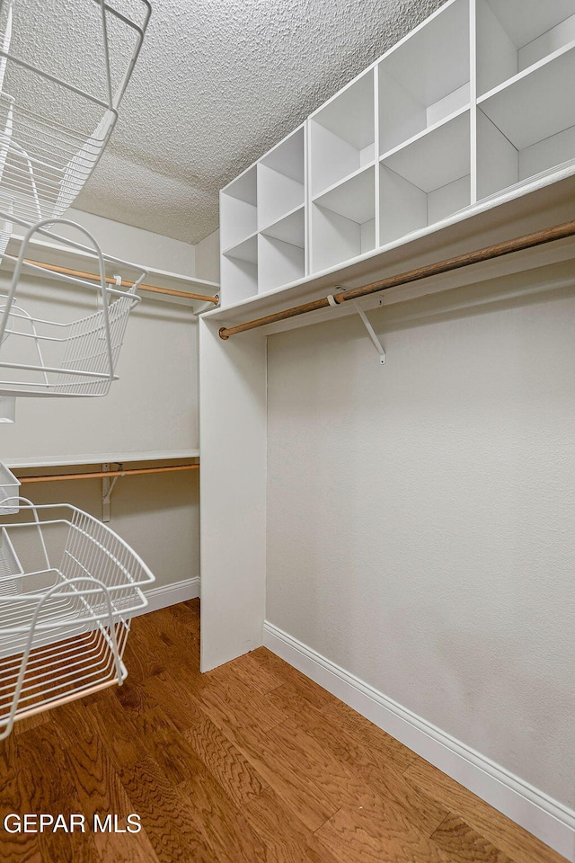 walk in closet with hardwood / wood-style floors