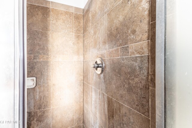 interior details with tiled shower